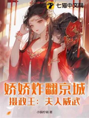 娇娇炸翻京城，摄政王：夫人威武