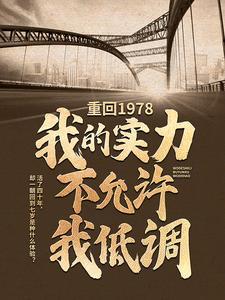 重回1978：我的实力不允许我低调