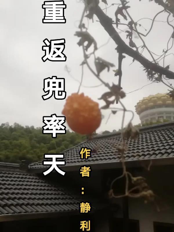 隐侠传奇