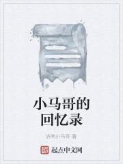 大明：家妻上将军